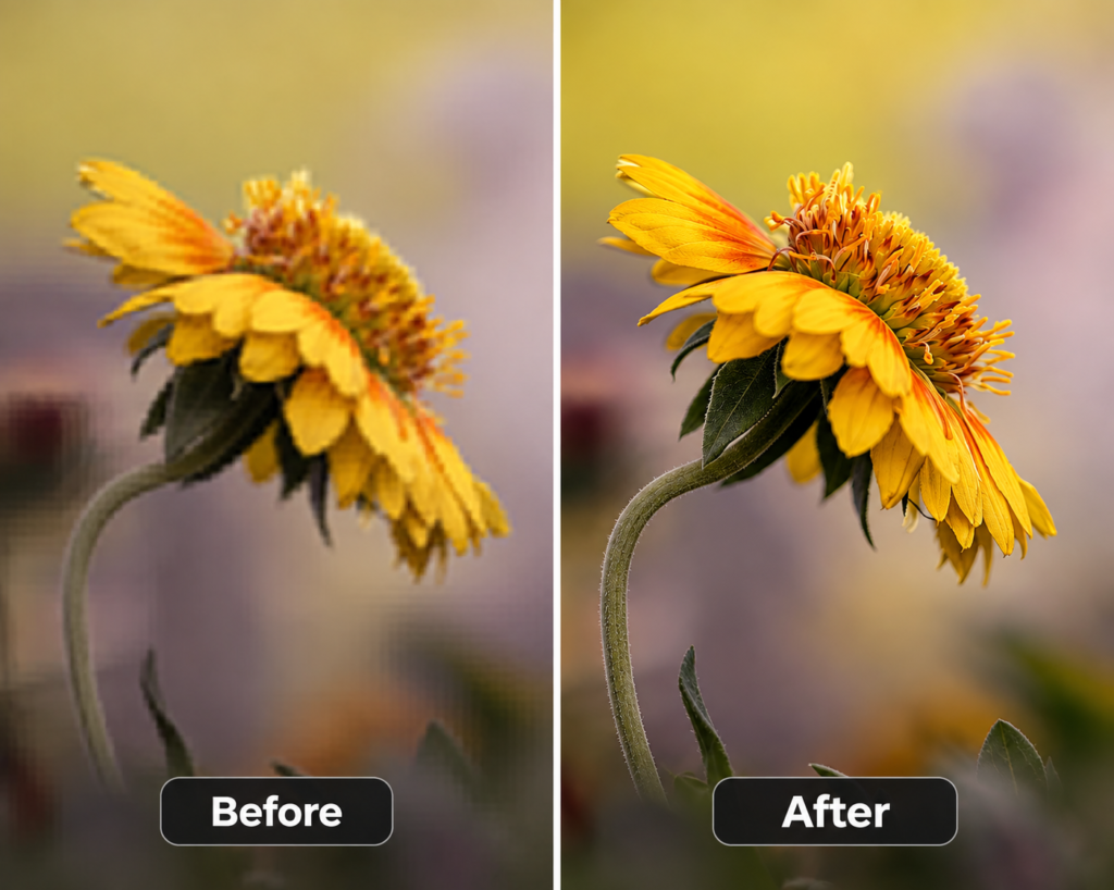 Compare original and upscaled sunflower image in Photo AI Studio