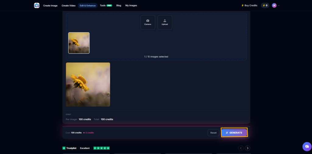 Generate an upscaled sunflower image with Photo AI Studio