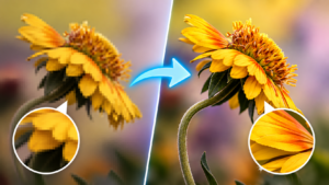 Read more about the article How to Upscale Image Without Losing Quality? (2026 Guide)